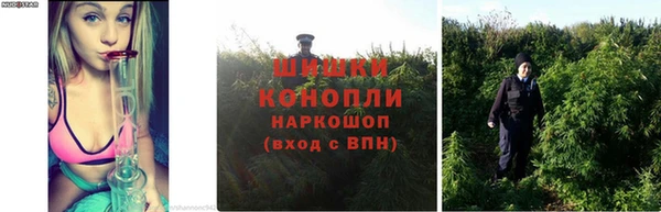 наркотики Нефтекумск