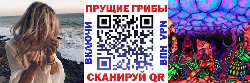 купить   Оса  hydra маркетплейс  Галлюциногенные грибы Psilocybe 